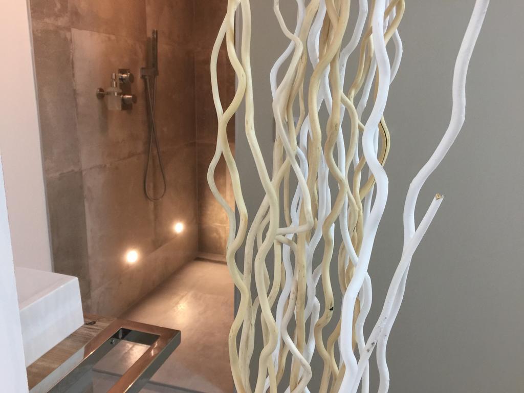 Loft Spa - Cote Chateau. Carcassonne Buitenkant foto