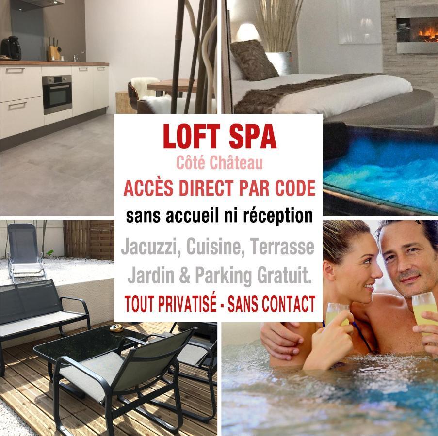 Loft Spa - Cote Chateau. Carcassonne Buitenkant foto
